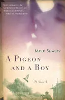 Un pigeon et un garçon - A Pigeon and a Boy