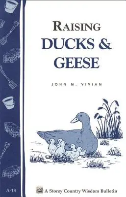 L'élevage des canards et des oies : Storey's Country Wisdom Bulletin A-18 - Raising Ducks & Geese: Storey's Country Wisdom Bulletin A-18