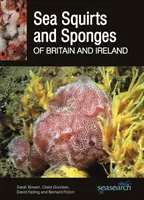 Squirts de mer et éponges de mer de Grande-Bretagne et d'Irlande - Sea Squirts and Sea Sponges of Britain and Ireland