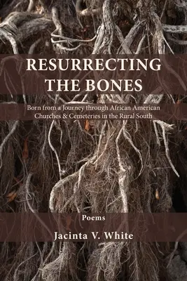 Ressusciter les os : Né d'un voyage à travers les églises et les cimetières afro-américains dans le Sud rural - Resurrecting the Bones: Born from a Journey through African American Churches & Cemeteries in the Rural South