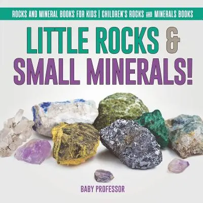 Petites roches et petits minéraux ! - Livres sur les roches et les minéraux pour les enfants - Livres sur les roches et les minéraux pour les enfants - Little Rocks & Small Minerals! - Rocks And Mineral Books for Kids - Children's Rocks & Minerals Books