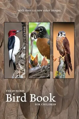 Le livre des oiseaux de Burgess avec de nouvelles images en couleur - The Burgess Bird Book with new color images