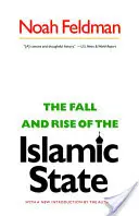 La chute et la montée en puissance de l'État islamique - The Fall and Rise of the Islamic State