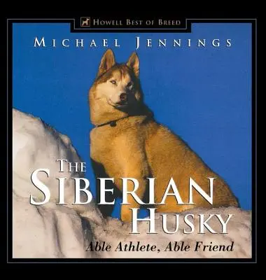 Le Husky de Sibérie : Un athlète capable, un ami capable - The Siberian Husky: Able Athlete, Able Friend