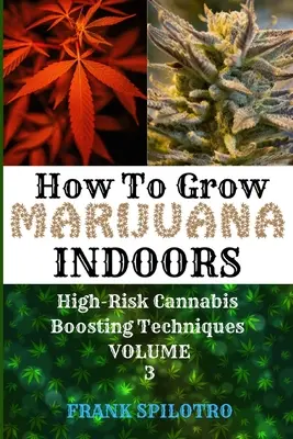 Comment cultiver de la marijuana en intérieur : Techniques à haut risque pour booster le cannabis - How to Grow Marijuana Indoors: High-Risk Cannabis Boosting Techniques