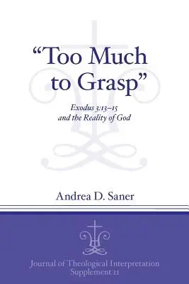 Trop pour être compris » : Exode 3:13-15 et la réalité de Dieu ». - Too Much to Grasp