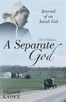 Un Dieu séparé : Journal d'une jeune fille amish - A Separate God: Journal of an Amish Girl