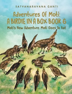 Adventures Of Moti A Birdie In A Box Book 6 : Moti's New Adventure. Moti va à la batte - Adventures Of Moti A Birdie In A Box Book 6: Moti's New Adventure. Moti Goes To Bat