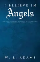 Je crois aux anges : L'histoire miraculeuse d'Ashley, survivante d'une collision de véhicules catastrophique - I Believe in Angels: The Miraculous True-Life Story of Catastrophic Vehicle Collision Survivor Ashley