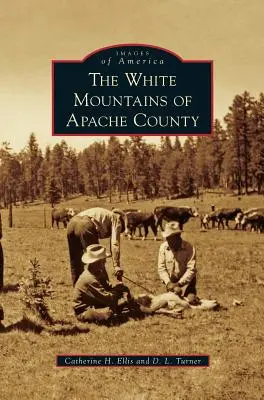 Les montagnes blanches du comté d'Apache - White Mountains of Apache County