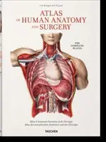 Bourgery. Atlas d'anatomie et de chirurgie humaines - Bourgery. Atlas of Human Anatomy and Surgery