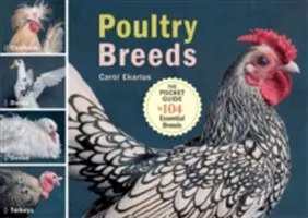 Les races de volailles : Poulets, canards, oies, dindes : Le guide de poche des 104 races essentielles - Poultry Breeds: Chickens, Ducks, Geese, Turkeys: The Pocket Guide to 104 Essential Breeds