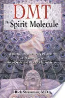 Dmt : La molécule de l'esprit : Les recherches révolutionnaires d'un médecin sur la biologie des expériences de mort imminente et des expériences mystiques - Dmt: The Spirit Molecule: A Doctor's Revolutionary Research Into the Biology of Near-Death and Mystical Experiences