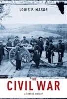 La guerre civile : une histoire concise - The Civil War: A Concise History