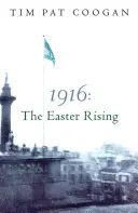 1916 : l'insurrection de Pâques - 1916 the Easter Rising