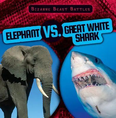 Éléphant contre grand requin blanc - Elephant vs. Great White Shark