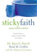 La foi collante, édition pour les animateurs de jeunesse : Idées pratiques pour cultiver la foi à long terme chez les adolescents - Sticky Faith, Youth Worker Edition: Practical Ideas to Nurture Long-Term Faith in Teenagers