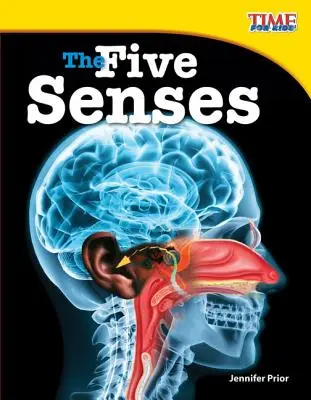 Les cinq sens - The Five Senses