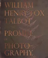 William Henry Fox Talbot et la promesse de la photographie - William Henry Fox Talbot and the Promise of Photography
