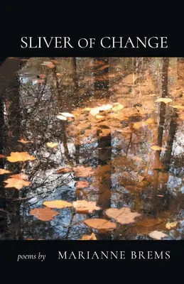 Une goutte d'eau dans l'océan - Sliver of Change