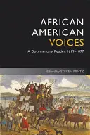 Les voix afro-américaines 4e - African American Voices 4e