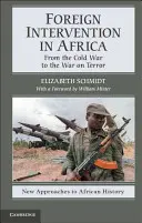 L'intervention étrangère en Afrique : De la guerre froide à la guerre contre le terrorisme - Foreign Intervention in Africa: From the Cold War to the War on Terror