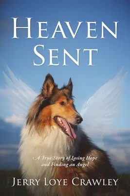 Heaven Sent : L'histoire vraie d'une perte d'espoir et de la découverte d'un ange - Heaven Sent: A True Story of Losing Hope and Finding an Angel