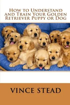 Comment comprendre et éduquer votre chiot ou chien Golden Retriever - How to Understand and Train Your Golden Retriever Puppy or Dog