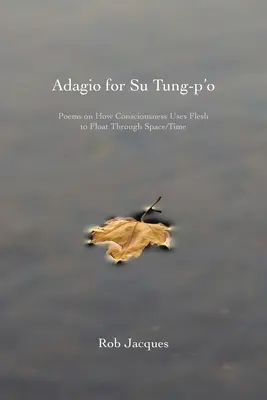 Adagio pour Su Tung-p'o : Poèmes sur la façon dont la conscience utilise la chair pour flotter dans l'espace et le temps - Adagio for Su Tung-p'o: Poems on How Consciousness Uses Flesh to Float Through Space/Time