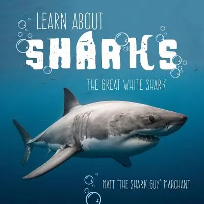 En savoir plus sur les requins : Le grand requin blanc - Learn About Sharks: The Great White Shark