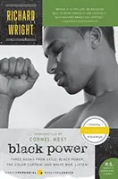 Le pouvoir noir - Black Power