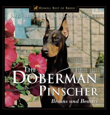 Le Doberman Pinscher : L'intelligence et la beauté - The Doberman Pinscher: Brains and Beauty