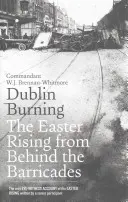 Dublin Burning : L'insurrection de Pâques vue de l'arrière des barricades - Dublin Burning: The Easter Rising from Behind the Barricades