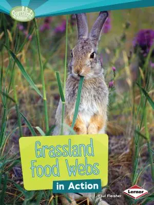 Les réseaux alimentaires des prairies en action - Grassland Food Webs in Action