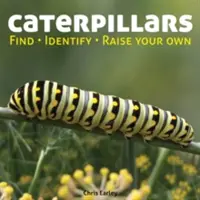 Les chenilles : Trouver, identifier, élever les vôtres - Caterpillars: Find, Identify, Raise Your Own