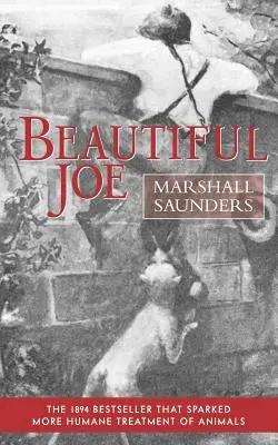 Beautiful Joe (Broché) - Beautiful Joe (Paperback)