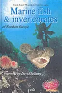 Poissons et invertébrés marins d'Europe du Nord - Marine Fish & Invertebrates of Northern Europe