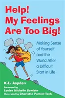 Au secours ! Mes sentiments sont trop grands ! Se comprendre soi-même et comprendre le monde après un début de vie difficile - Help! My Feelings Are Too Big!: Making Sense of Yourself and the World After a Difficult Start in Life