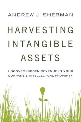 Récolter les actifs incorporels : Découvrir les revenus cachés dans la propriété intellectuelle de votre entreprise - Harvesting Intangible Assets: Uncover Hidden Revenue in Your Company's Intellectual Property