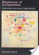 Biophysique de l'informatique : Traitement de l'information dans les neurones - Biophysics of Computation: Information Processing in Single Neurons