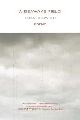 Le champ de Wideawake - Wideawake Field