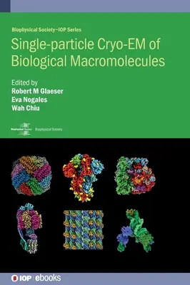 Cryo-EM des macromolécules biologiques à l'échelle d'une particule - Single-particle Cryo-EM of Biological Macromolecules