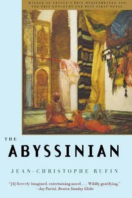 Abyssinie - Abyssinian