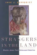 Strangers in the Land : Les Noirs, les Juifs, l'Amérique d'après l'Holocauste - Strangers in the Land: Blacks, Jews, Post-Holocaust America