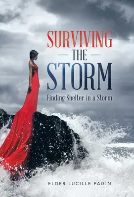 Survivre à la tempête : Survivre à la tempête : Trouver un abri dans la tempête - Surviving the Storm: Finding Shelter in a Storm