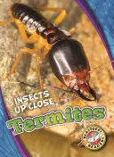 Termites