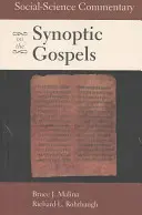 Commentaire de sciences sociales sur les évangiles synoptiques - Social-Science Commentary on the Synoptic Gospels