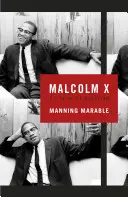 Malcolm X - Une vie de réinvention - Malcolm X - A Life of Reinvention