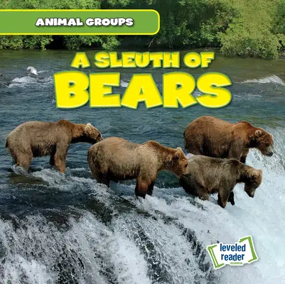 Une équipe d'ours en peluche - A Sleuth of Bears