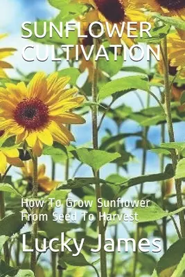 La culture du tournesol : Comment cultiver le tournesol de la graine à la récolte - Sunflower Cultivation: How To Grow Sunflower From Seed To Harvest